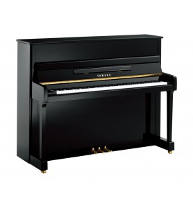 Photo Yamaha P116