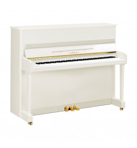 Photo Yamaha P116