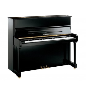 Photo Yamaha P121