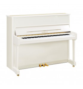 Photo Yamaha P121