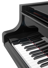 Les 4 touches supplémentaires du Bösendorfer Imperial 225