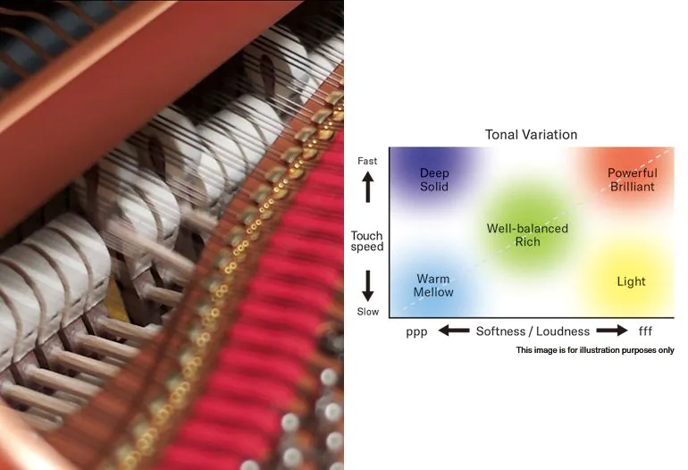 Grand Expression Modeling