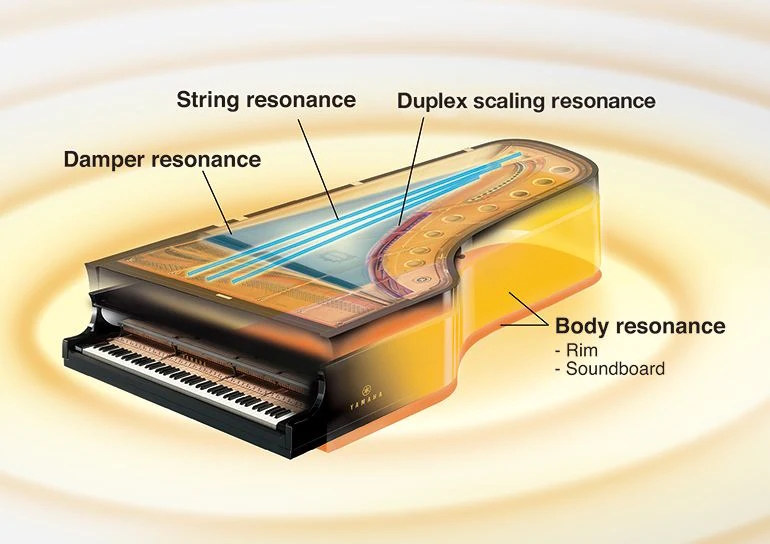 YAMAHA U3, comme un piano à queue vertical, la précision du son, du toucher